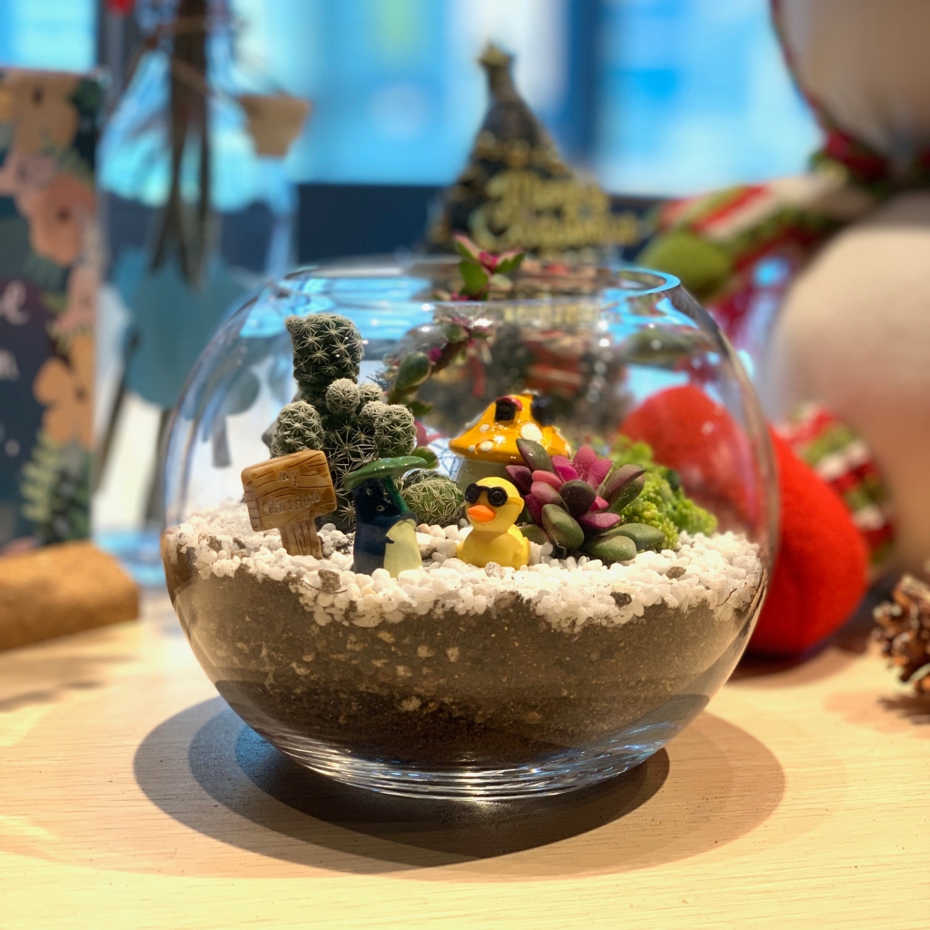 療癒款多肉玻璃圓缸造景Succulents in Fishbowl - 花幻想